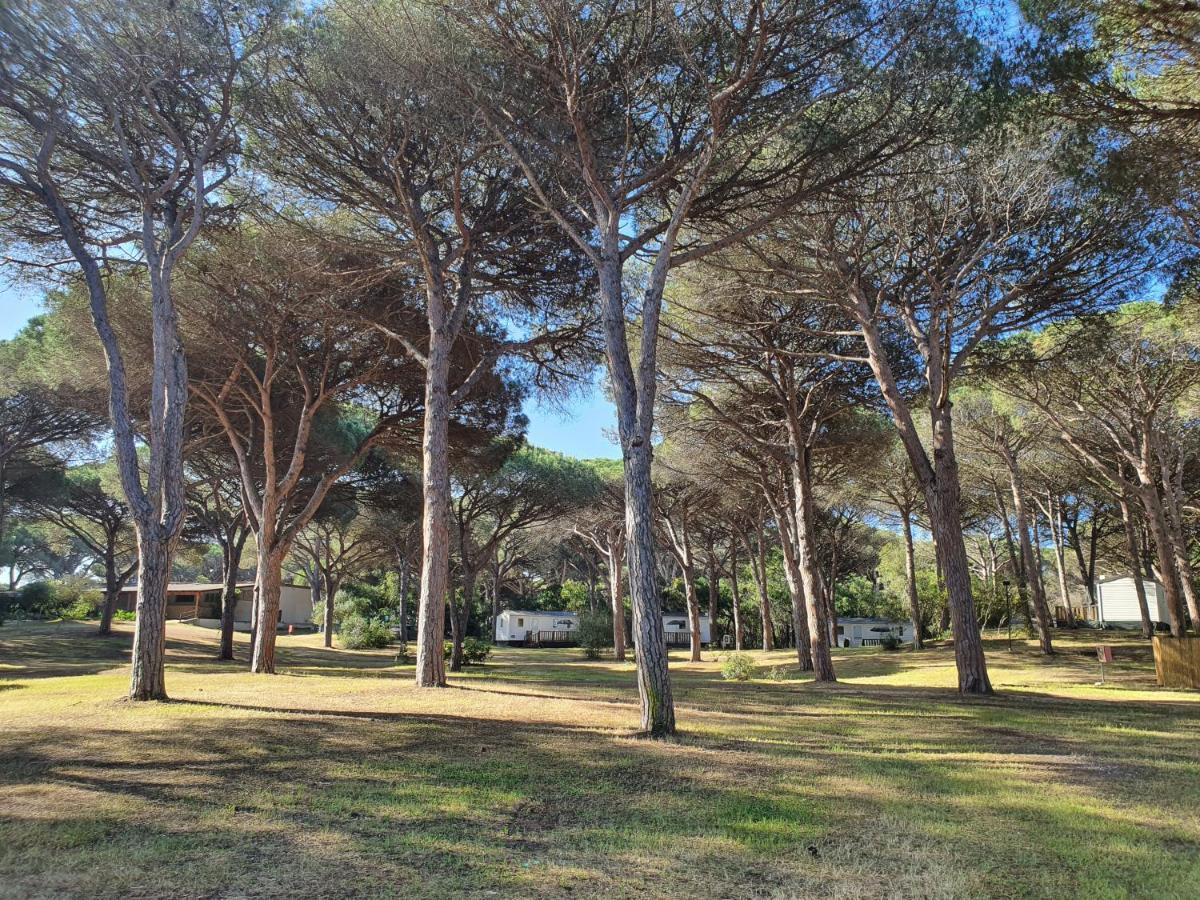 Camping Village S'Ena Arrubia Arborea Exterior photo