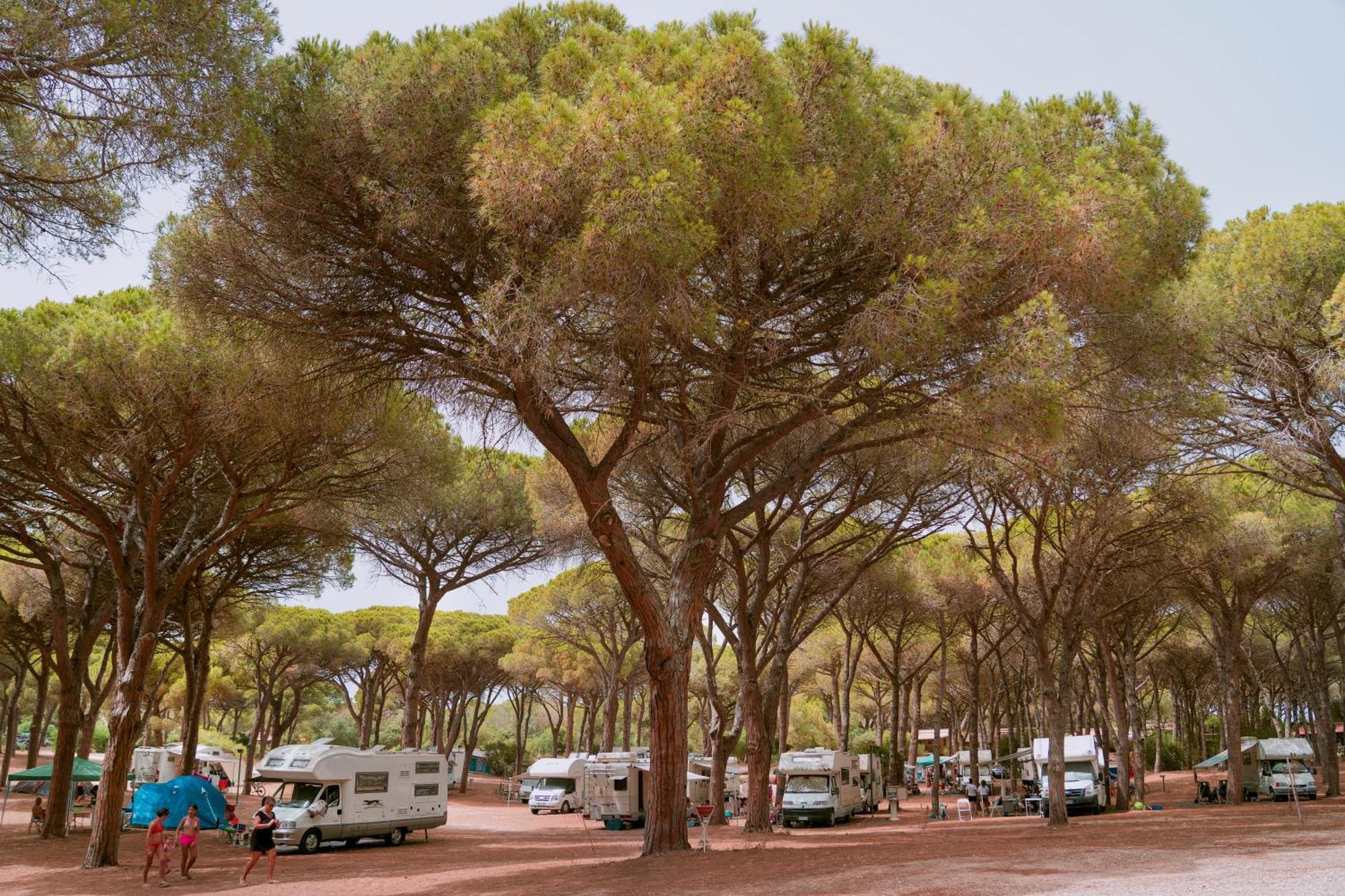 Camping Village S'Ena Arrubia Arborea Exterior photo
